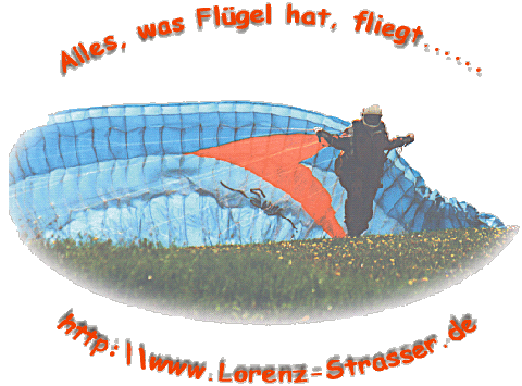 fluegel-31